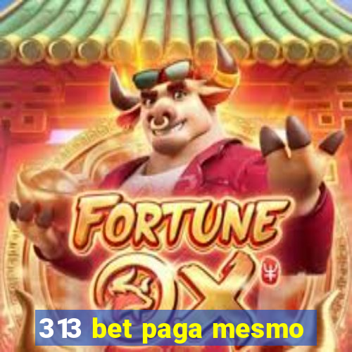 313 bet paga mesmo